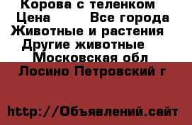 Корова с теленком › Цена ­ 69 - Все города Животные и растения » Другие животные   . Московская обл.,Лосино-Петровский г.